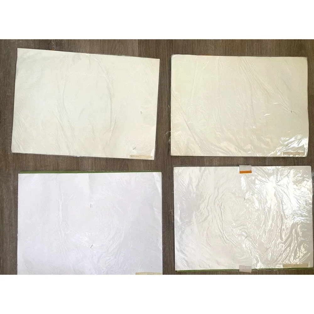 ALBA Set 4 Appenzell Swiss PLACEMATS Matching Napkins Vintage Flowers Alpine NOS